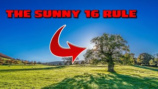 The Sunny 16 Rule - Photography Tips screenshot 5