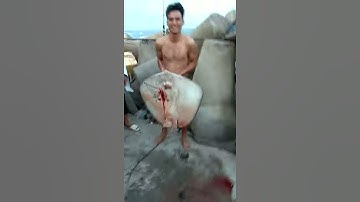 Câu cá Phan Rí Cửa (Hội Tầm Ngư)