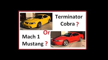 Terminator Cobra or Mach 1?  Which one should you buy? Build or buy built?