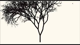 Drawing trees in python - App Stack Wealth