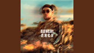 Лиса - Bonsai