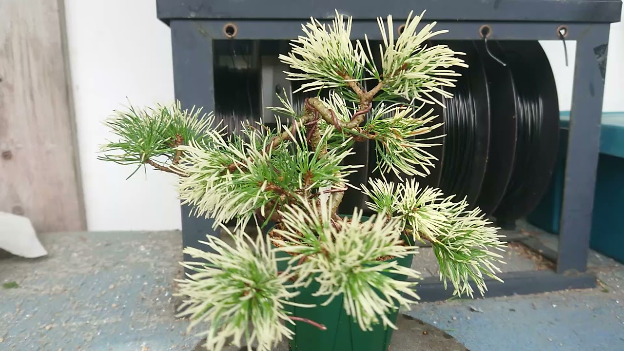 maxresdefault.jpg?sqp=-