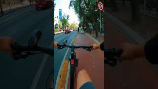 Complicaciones En Ciclovía Insurgentes Sur