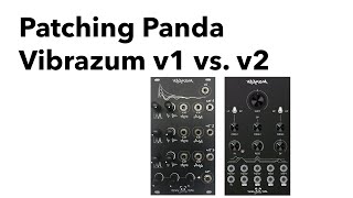 Patching Panda Vibrazum v2 - Eurorack Module on ModularGrid