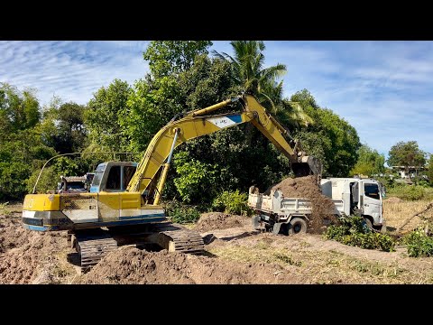 KOBELCO SK200-1 ทีมงานเสี่ยต้นกับงานขุดลอกดินหน้านาใส่ดั้ม6ล้อวิ่งงานถมที่