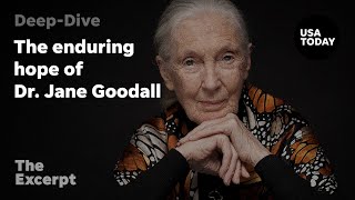 Full The enduring hope of Dr. Jane Goodall | The Excerpt Update