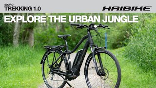 Haibike SDURO Trekking 1.0 Herren 400Wh 2019/20 E-Bike schwarz titan RH 52 cm 