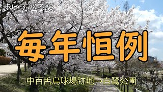 中モズ球場跡と白鷺公園の桜