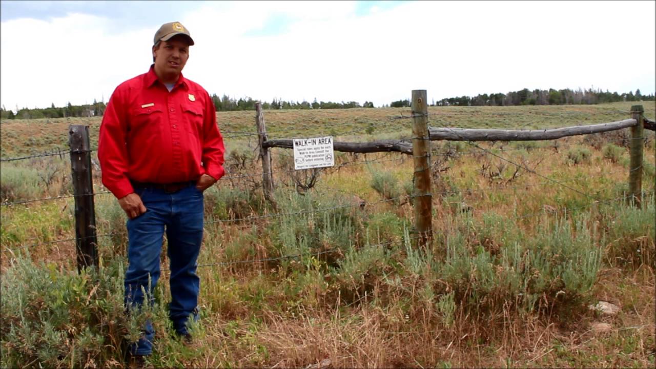 Wyoming's Walk In Access Hunting Areas 2 and 4 on Bigelow Bench