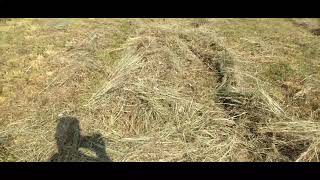Fluffing hay with a V Rake
