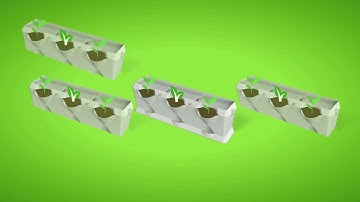 Giải Pháp Vườn Xanh Đứng Minigarden Bồ Đào Nha