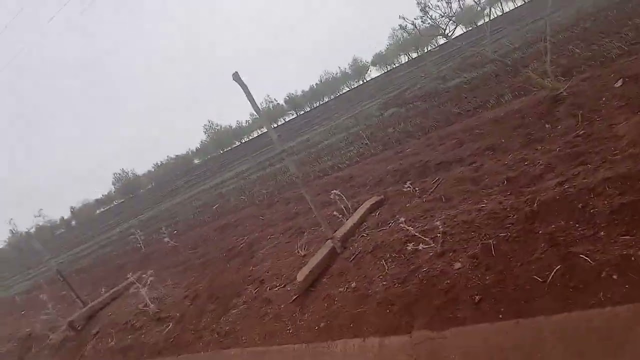 بلاد زعير بلاد الخير