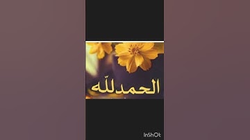 قل الحمد لله 😌 /اسلام صبحي / اسمع القران الكريم