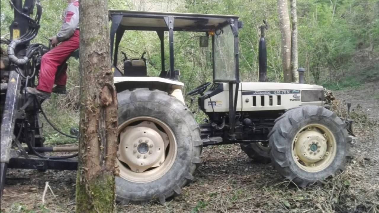 carico legna dal bosco con Lamborghini 674-70N