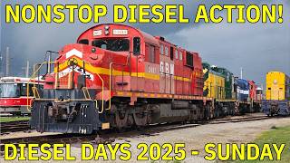 Download Lagu ALL the Diesels of Sunday! Illinois Railway Museum Diesel Days 2025 MP3 Download Lagu ALL the Diesels of Sunday! Illinois Railway Museum Diesel Days 2025 MP3