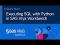Executing SQL with Python in SAS Viya Workbench | SAS Viya Workbench Quick Start Tutorial
