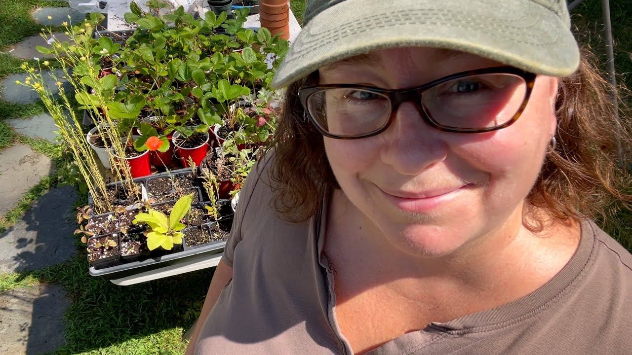 Pricking Out, Potting Up, Transplanting- Nursery Table Done (The Bittersweet Gardens)