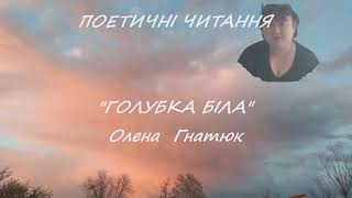 Поетичні читання. 