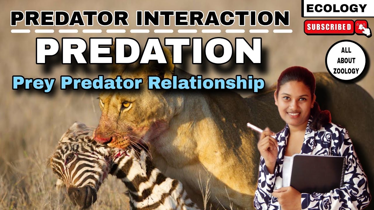 PREDATION || PREY PREDATOR INTERACTION || DETAILED EXPLANATION WITH EXAMPLES || ECOLOGY