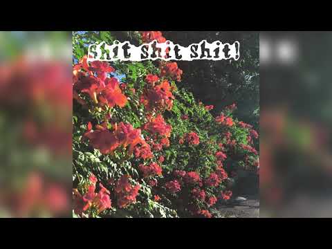 shit shit shit! — ACIDSUN (2020)