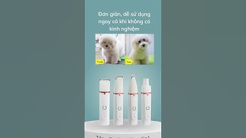 Tông đơ đa năng cắt tỉa đa vị trí cho thú cưng mà Sen nào cũng nên sở hữu, tông đơ chó mèo 4in1
