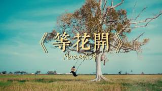 Haze哈泽 - 《等花開》 【Official Visualiser】