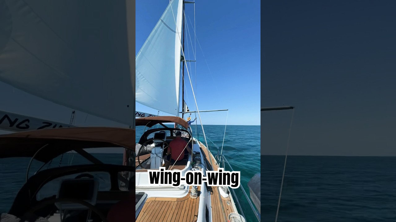 Sailing wing-on-wing  #sailboatlife #babyshorts #caribbean