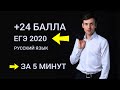 ЕГЭ 2021 : как написать сочинение на 24 балла / ЕГЭ русский язык 2021 : подготовка к ЕГЭ по русскому
