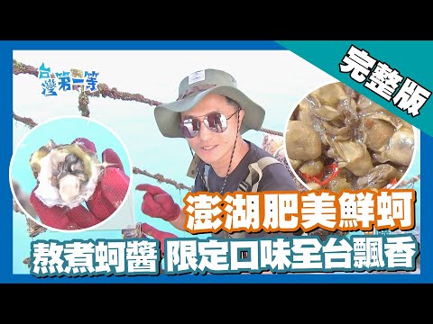 澎湖【正興幫 皮雕達人／鮮蚵熬煮 蚵仔醬／船長秘境／溫嶼 陸上海膽】 │2018.06.26│《台灣第一等》完整版