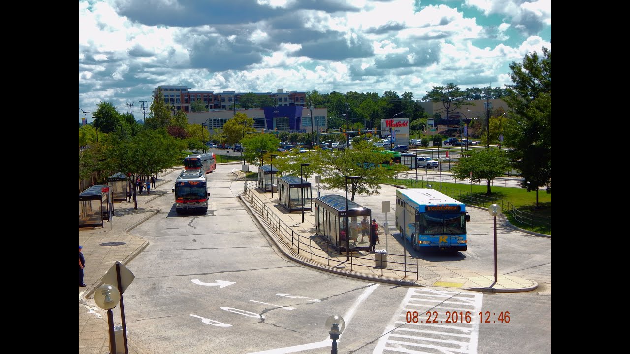WMATA Metrobus & Ride-On: Bus Observations (August 22, 2016) - Part 1/3 [#W011]