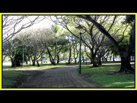 CENTRAL DARWIN CBD NT AUSTRALIA AA 2006 TRIP WALKA...