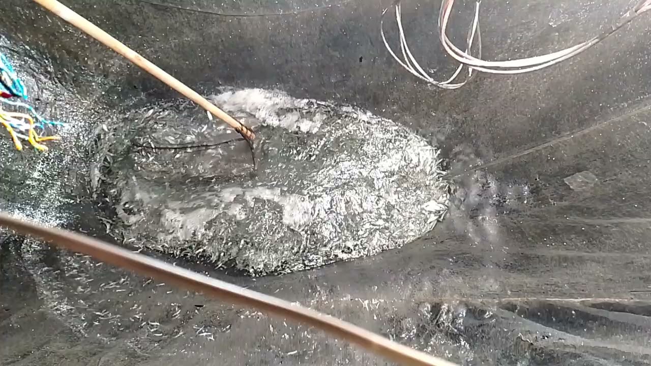 Metode penangkapan ikan| Bagan Apung di PPI Rangai| Kelompok 3 SDA 23