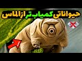 کمیاب ترین حیوانات جهان چند سال دیگر این حیوانات کمیاب را هیچ جا نخواهید دید کمیاب ترین حیوانات جهان چند سال دیگر این حیوانات کمیاب را هیچ جا نخواهید دید