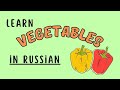 Learn How VEGETABLES Are Named in RUSSIAN 🍅