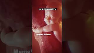 MAGICAL What babies do in the WOMB 😍 #pregnancy #shorts