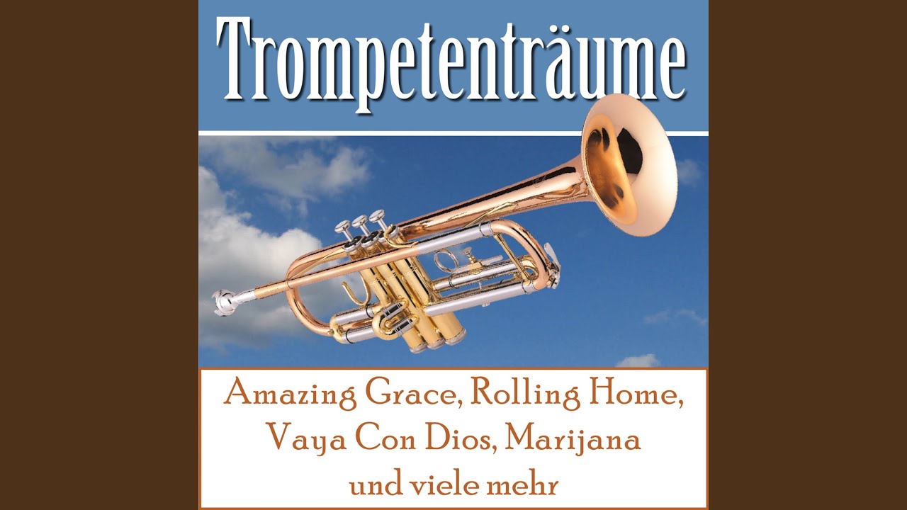 Aber Dich gibt's nur einmal für mich