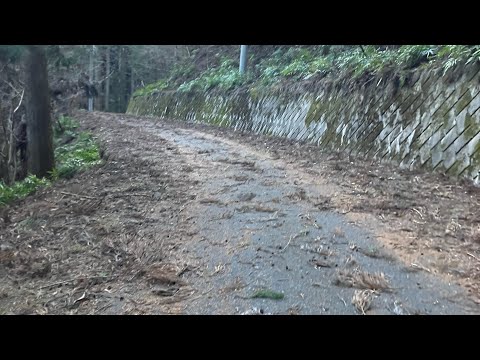 【過酷】秩父の林道で遭難して山梨に抜けた時の動画