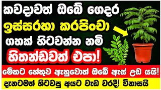 කරපච පලකකරකයද? වයජන වලට දනන එපද? වනශය ම වරදද කරනන එප