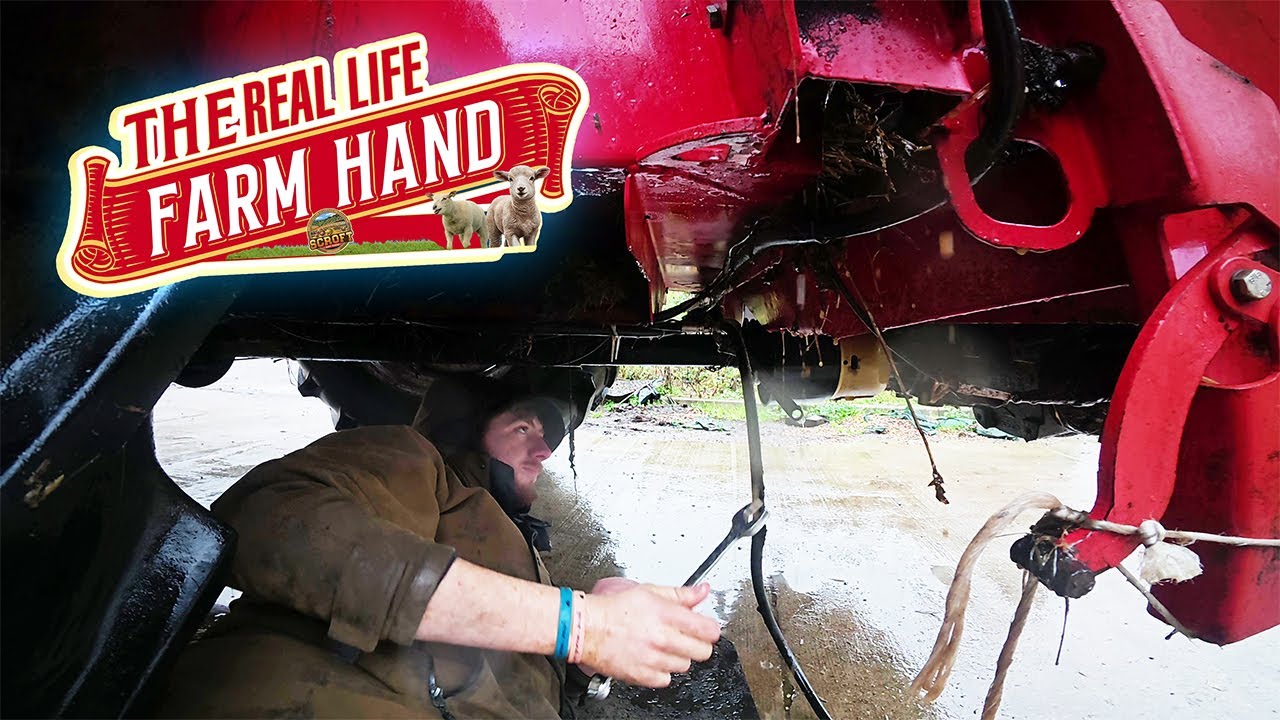 Birthday Boy! | The Real Life Farm Hand Blog