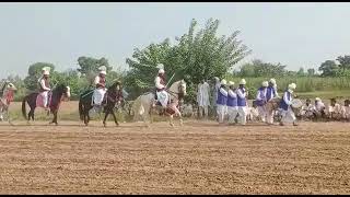 Neza Bazi At Chak No 41 Sargodha