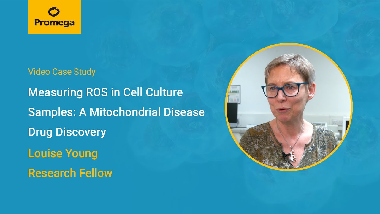 Exploring Mitochondrial Dysfunction in Diseases: Insights from the University of Strathclyde