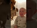 赤ちゃんと犬　“Golden Retriever Tries to Comfort a Crying Baby ❤️🐶”　#funny #Retriever #cute