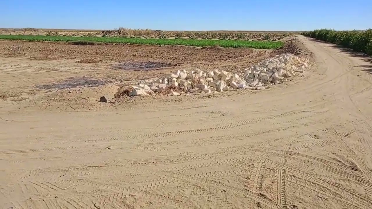 الوادي الجديد الفرافرة ارض للبيع مزروع برسيم حجازي ونخل وتين شوكي01122474189/01030015203