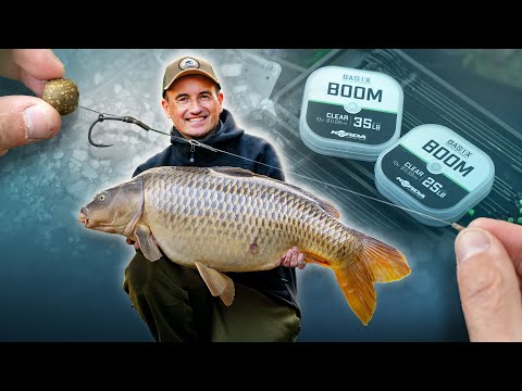 Lifestyle Series I EP33 I Take Them by Surprise (Bruno Médou)