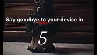 tree2.mp4