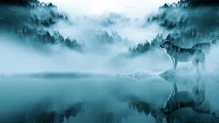 7 HOURS - Wolves Howling with Night Forest Sounds and Water Gently Flowing