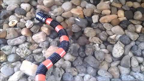 Biomimetic Lamprey like Robot