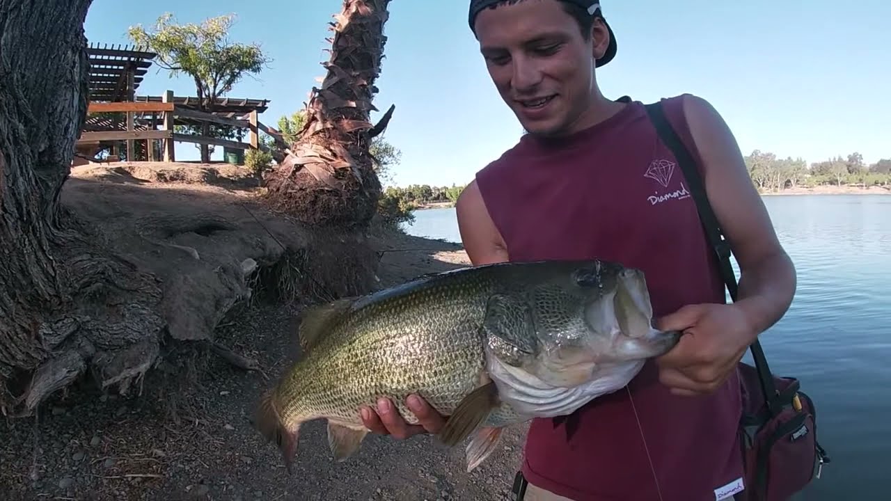 Fishing At Almaden Lake 16 YouTube