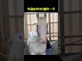 暴れ馬！？…いいえ、違います。