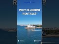 Why Choose Bluebird Rentals in Sydney | Car Rental You Can Trust 🚗